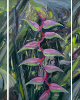 sexy-pink-heliconia-giclee-art-print