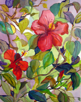 Hibiscus 1