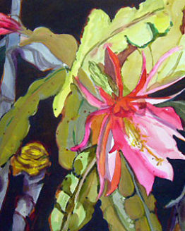 Night Blooming Cereus