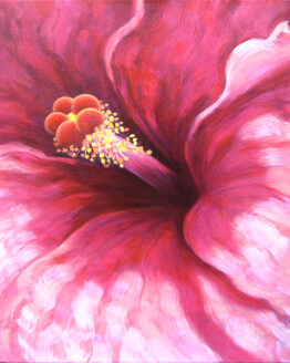 Coral Hibiscus (Original Oil Painting)