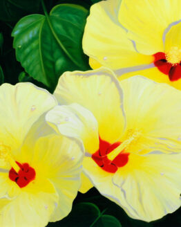 Morning Sunshine (Print)