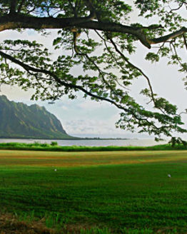 Chinaman's Hat at Sunrise (Giclee on Canvas)