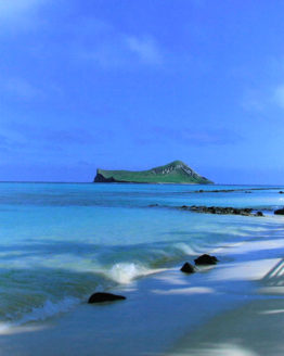 Rabbit Island (Giclee on Canvas)