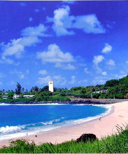 Waimea Bay Waves, Oahu (Giclee on Canvas)