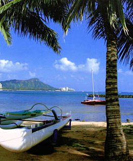 Diamond Head Canoes Palms, Oahu (Giclee on Canvas)