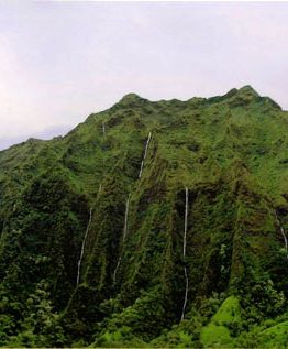 Waterfalls Over Ko'olau, Oahu (Giclee on Canvas)