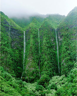 Waterfalls Over Ko'olau 2 (Giclee on Canvas)