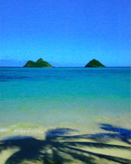 Lanikai, Oahu (Giclee on Canvas)