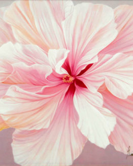 Double Pink Hibiscus (Print)