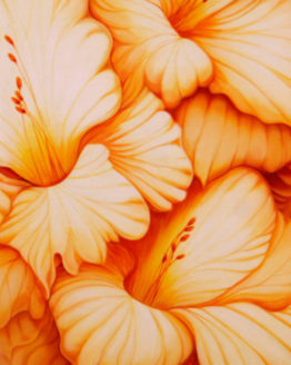 Golden Glads (Giclee)