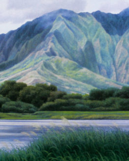 Mountain & Lake View