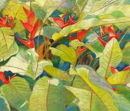 Dancing with the Light (Giclee on Canvas)