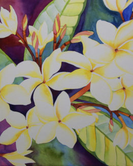 Sweet Plumeria (Giclee on Watercolor Paper)