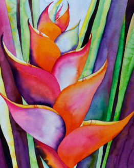 Tropical Heliconia