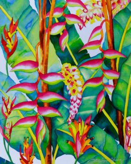 Three Sexy Pink Heliconia