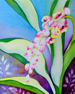 Maunawili Shell Ginger (Print)