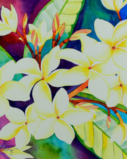 Sweet Plumeria