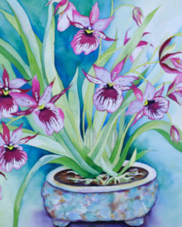 Maui Miltonia (Giclee on Watercolor Paper)