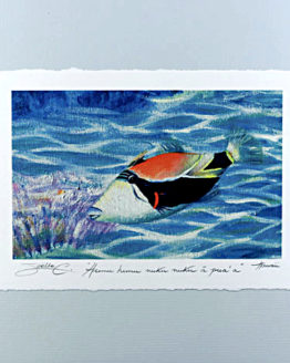 Humuhumunukunukuapuaa (Print)