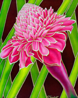 Pink Torch Ginger