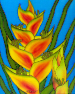 Heliconia