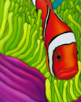 Hiding in the Anemones