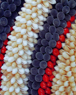 Hawaii Seed Leis