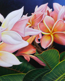 Plumerias