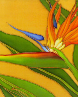 Bird of Paradise