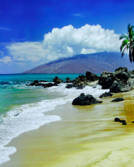 right-shiny-day-photograph