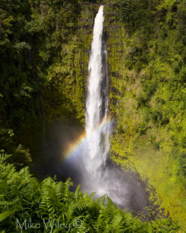 Akaka Falls Rainbow (Photo on Metal)