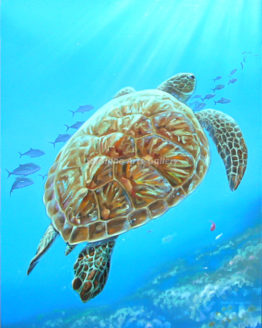 Honu Drift (Original on Canvas)