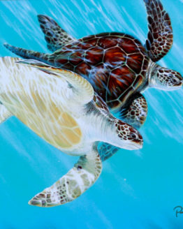 Aqua Flight (Print on Paper)