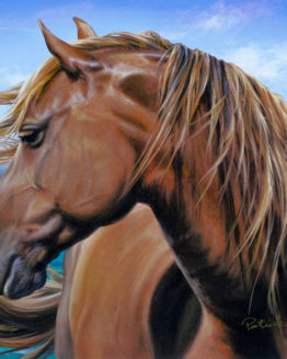 Ehukai (Giclee on Canvas)