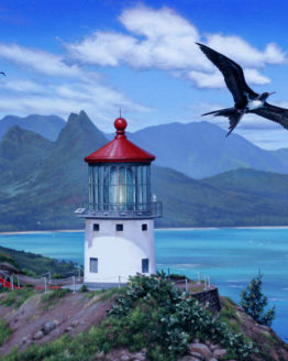 Makapu'u Lighthouse (Giclee on Canvas)