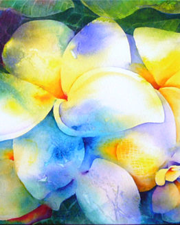 Misty Morning Plumeria (Giclee on Canvas)