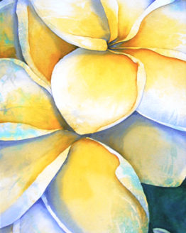Plumerias (Giclee on Canvas)