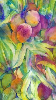 Mango Mania (Giclee on Canvas)