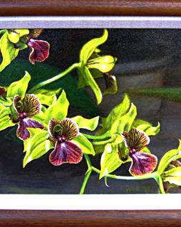 Dendrobium-Little Green Apples (Original Oil Painting)