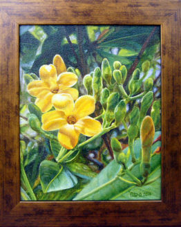 Puakenikeni (Original Oil Painting)