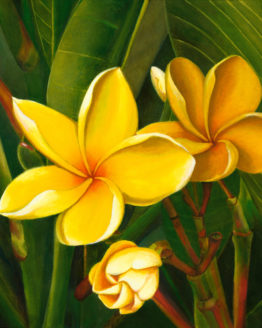 Puamelia Mele - Yellow Plumerias(Giclee on Canvas)