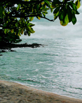 Kapaa Beach Morning (Giclee)