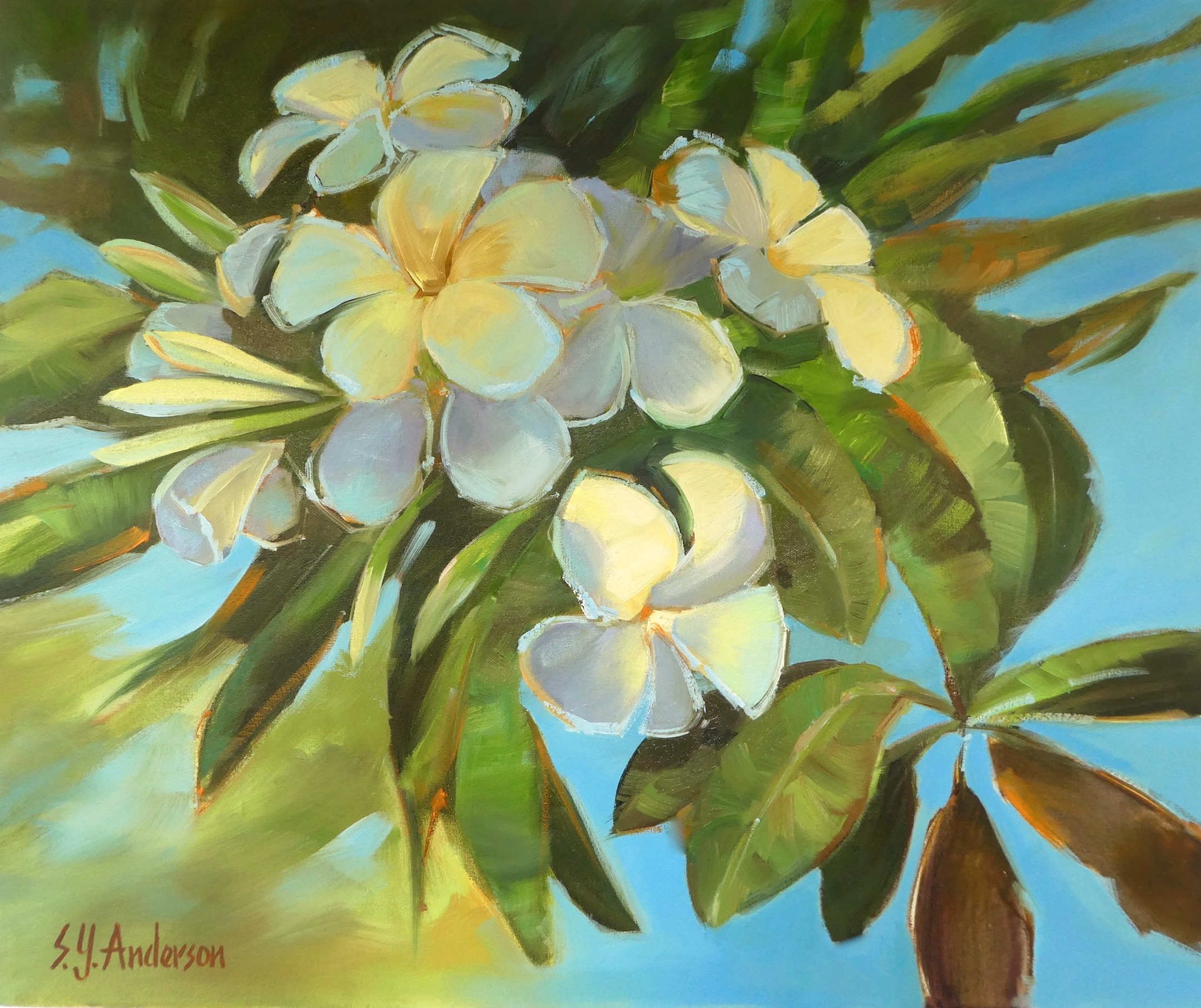 Plumeria Profusion Original art