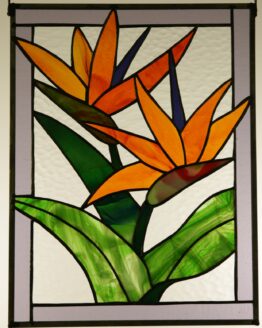 Red/Orange Bird of Paradise