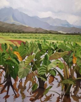 Hanalei Valley Ponds
