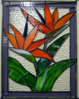 Red Bird of Paradise